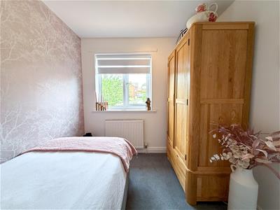Picture 21